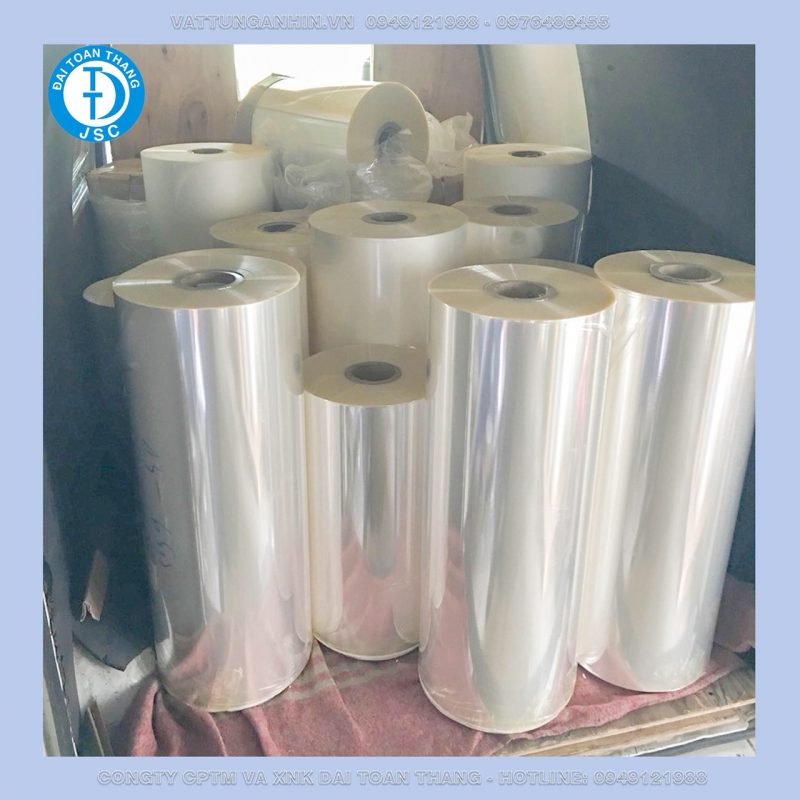 CÔNG TY CỔ PHẦN THƯƠNG MẠI VÀ XUÂT NHẬP KHẨU